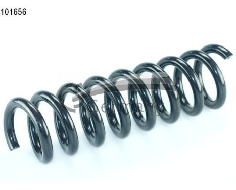 chassis spring