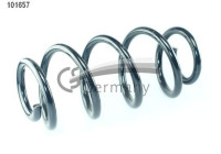 chassis spring