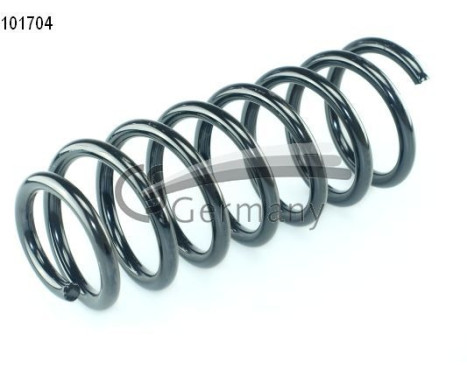 chassis spring