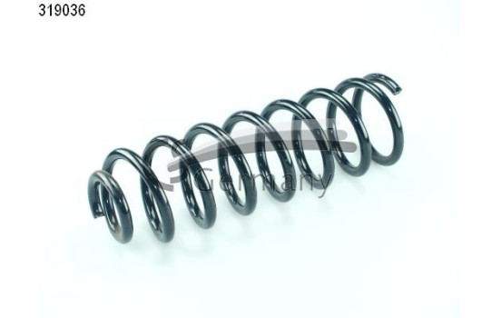 chassis spring