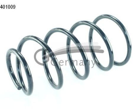 chassis spring