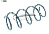 chassis spring