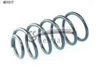 chassis spring