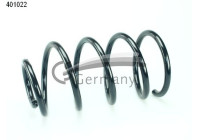 chassis spring