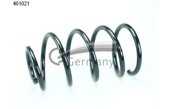 chassis spring