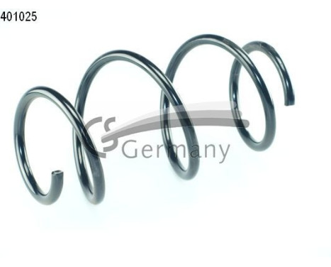 chassis spring