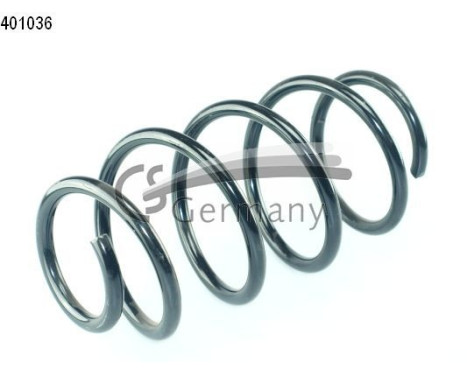 chassis spring