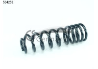 chassis spring