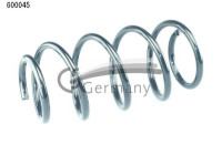 chassis spring