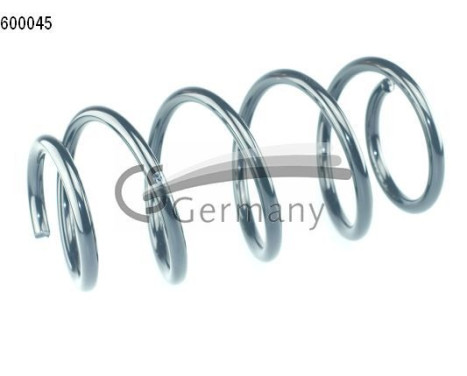 chassis spring