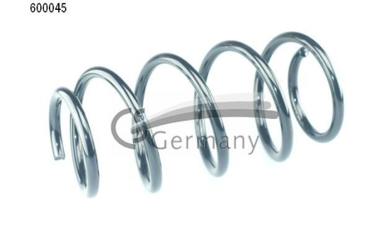 chassis spring