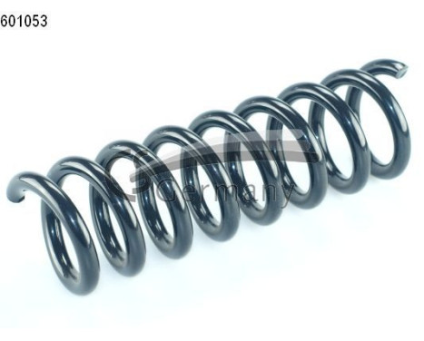 chassis spring