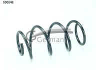 chassis spring