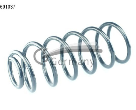 chassis spring