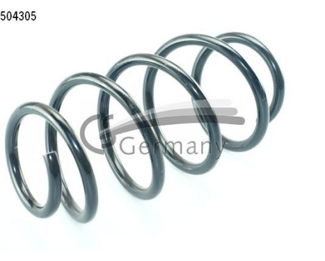 chassis spring