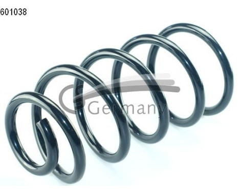 chassis spring