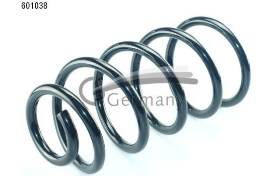 chassis spring