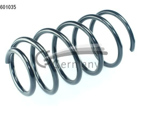 chassis spring