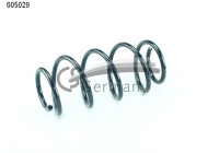 chassis spring