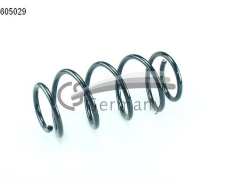 chassis spring