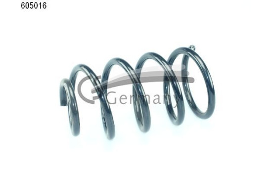 chassis spring