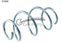 chassis spring
