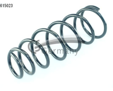 chassis spring
