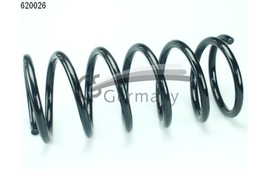 chassis spring