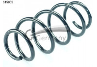 chassis spring