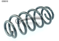 chassis spring