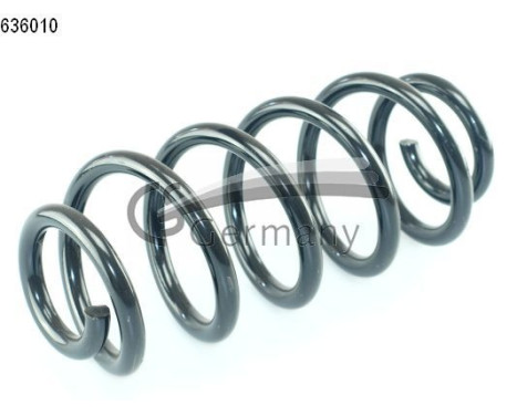chassis spring