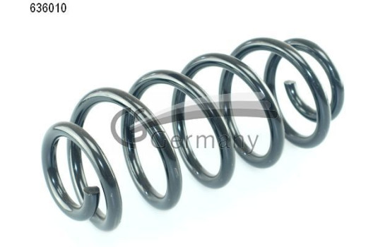chassis spring