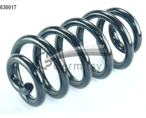 chassis spring