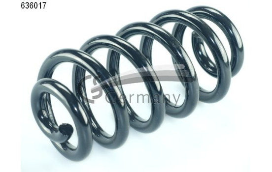 chassis spring