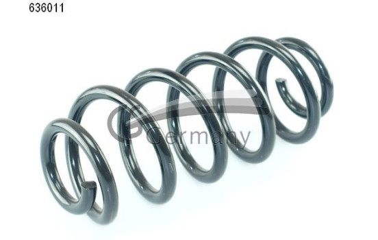 chassis spring