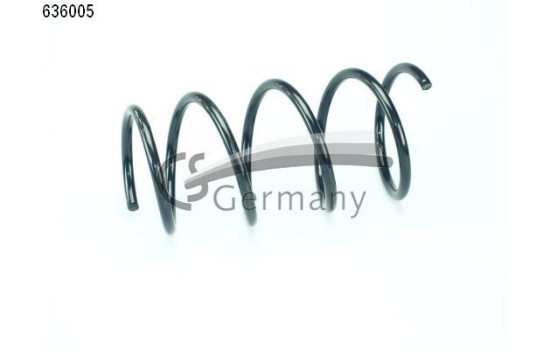 chassis spring
