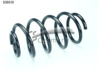 chassis spring