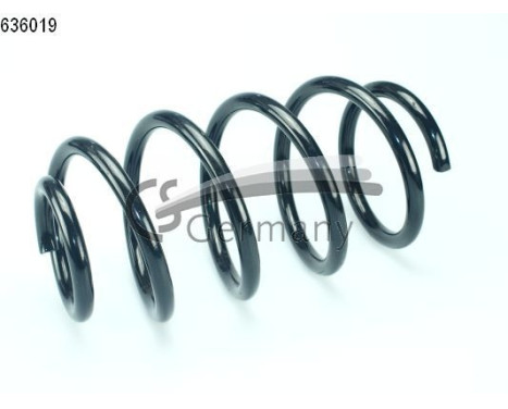 chassis spring