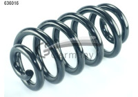 chassis spring