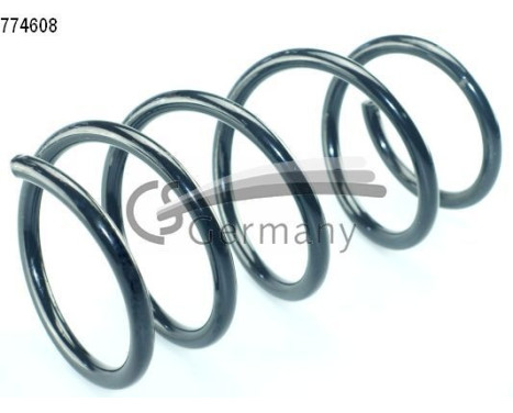 chassis spring