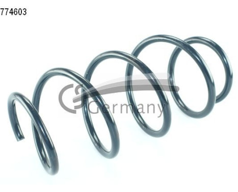 chassis spring