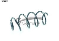 chassis spring