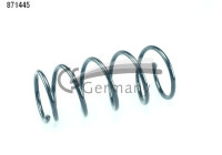 chassis spring