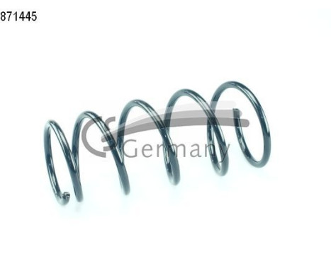 chassis spring