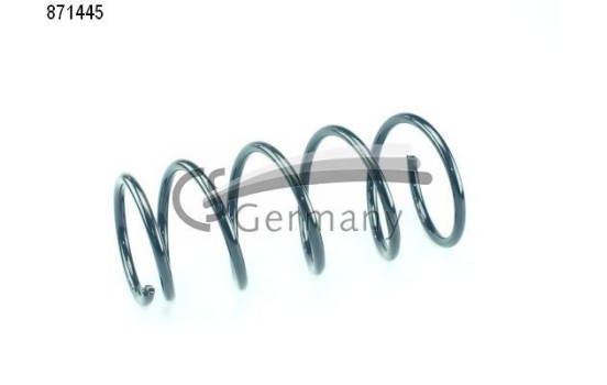 chassis spring