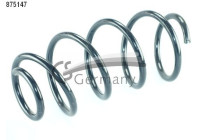 chassis spring
