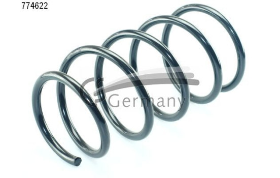 chassis spring