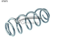 chassis spring