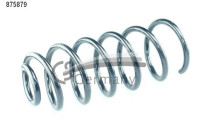 chassis spring