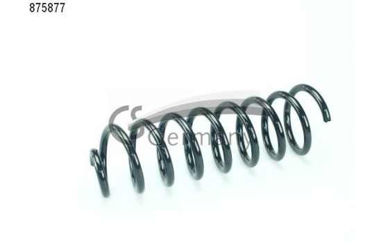 chassis spring